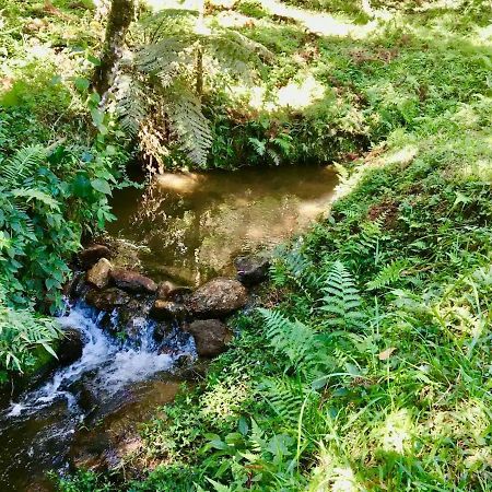 Вілла Casa Araucaria No Refugio Pinheiro Beira Rio Сапукаі-Мірин Екстер'єр фото