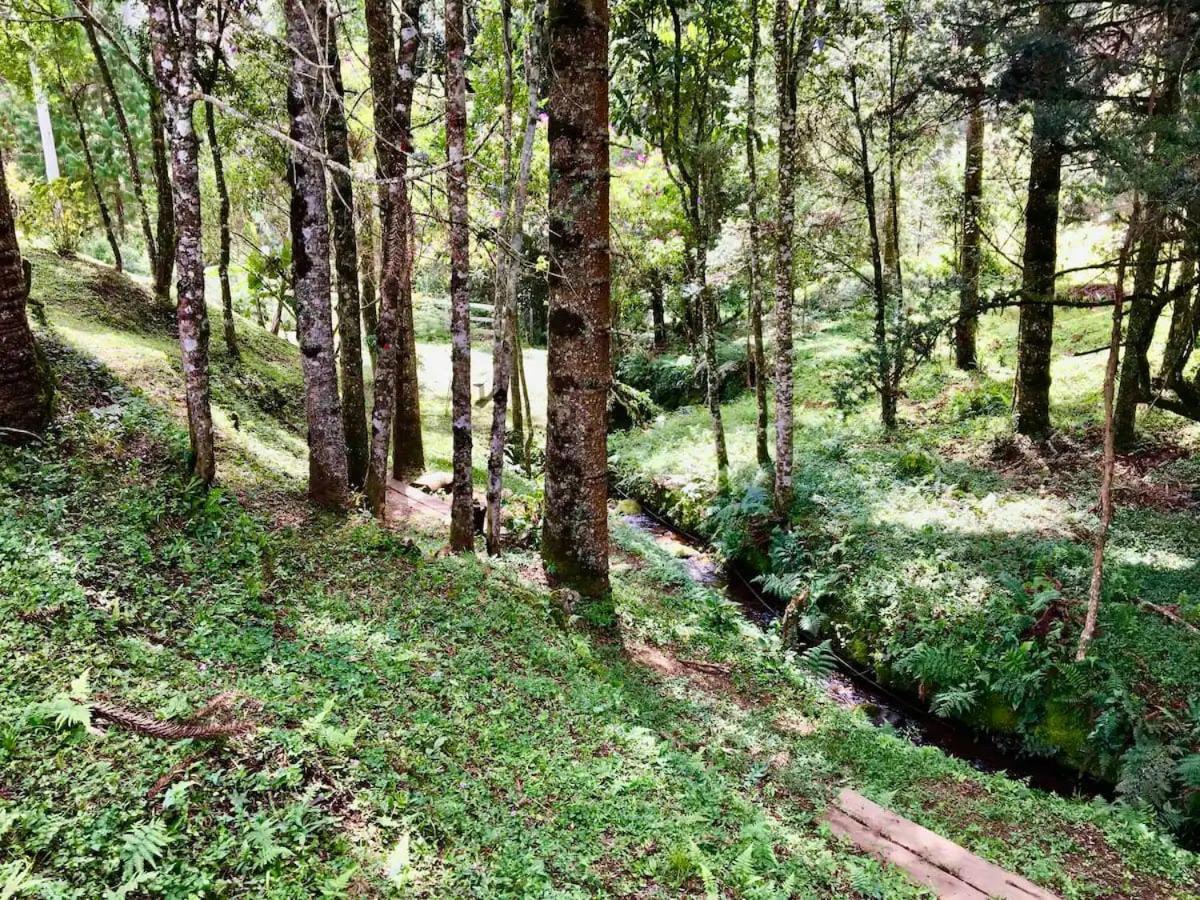 Вілла Casa Araucaria No Refugio Pinheiro Beira Rio Сапукаі-Мірин Екстер'єр фото