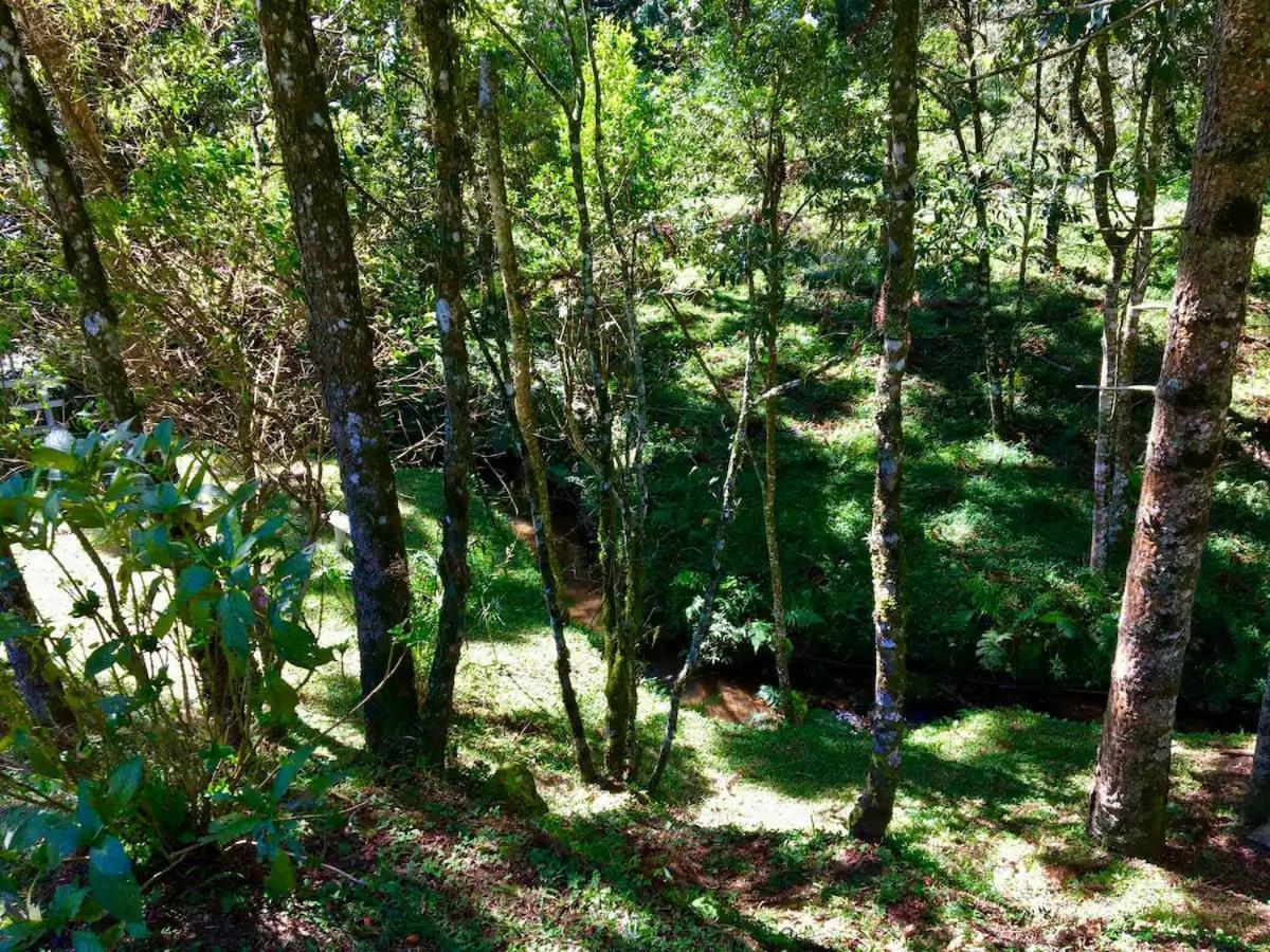 Вілла Casa Araucaria No Refugio Pinheiro Beira Rio Сапукаі-Мірин Екстер'єр фото