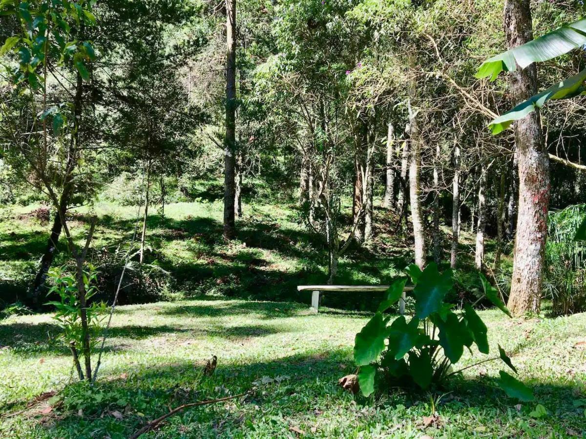 Вілла Casa Araucaria No Refugio Pinheiro Beira Rio Сапукаі-Мірин Екстер'єр фото